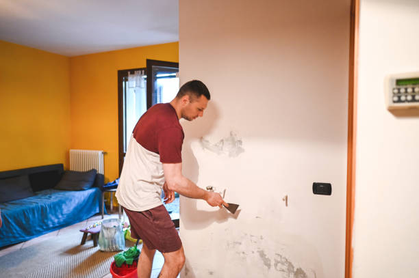 Best Affordable Mold Removal  in Idaho Springs, CO